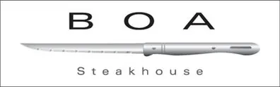 boa logo